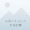 吸血姬的堕落主角是谁