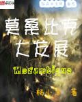 莫桑比克最新局势